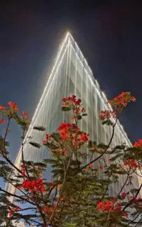 میکامال ۵۵متر  طبقه اول / سرمایه گذاری