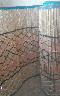 چیت نو