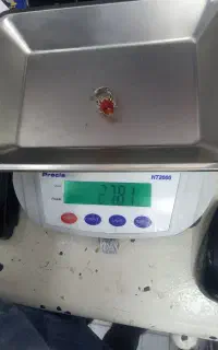 انگشترنقره  بابا قوری اصل