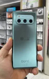 داریا باند