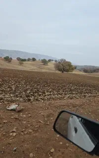 چوپان کارگر دامداری