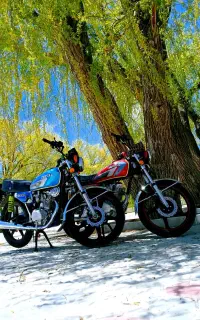 موتور 200لیفان