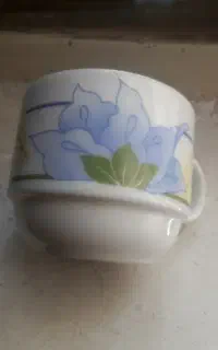 ظروف چینی