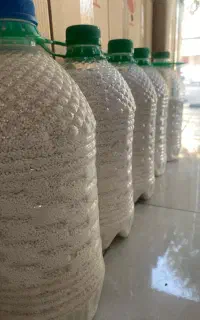 پودر کلر