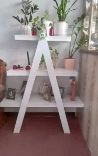 شلف گل
