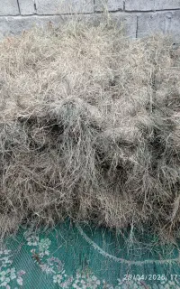 علف‌خشک‌برای‌فروش