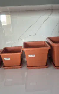 مجسمه و دکوری