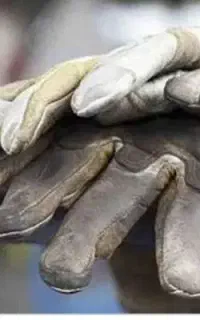 کار فصلی