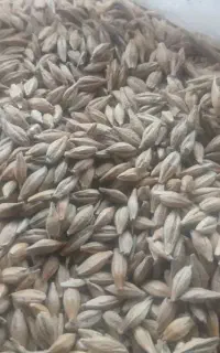 جو داخلی تناژ