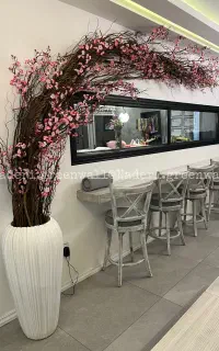 درخت شکوفه