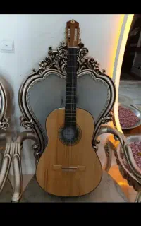 گیتار نو