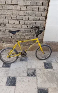 دوچرخه اساک ژاپنی