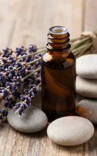 ماساژ حرفه ای (توسط فیزیوتراپ )با کمترین قیمت