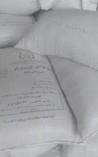 سبوس دامی