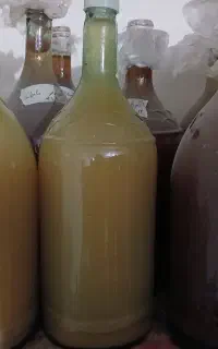 انواع سرکه