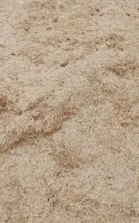 کاه گندم کیسه شده درجه یک کرمانشاه وپرس سوفال گندم
