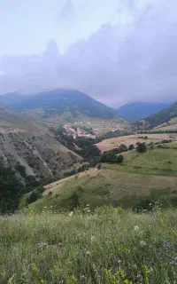 گلاب100% ارگانیک