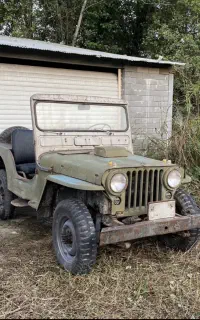 جیپ ویلیز ۱۹۹۵