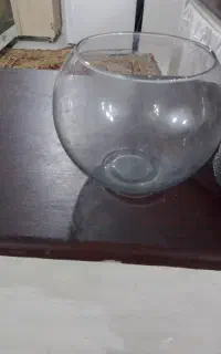 تنگ ماهی