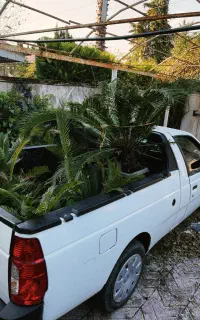 باربری وانت