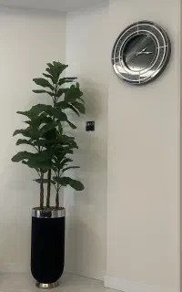 نیروی خدماتی