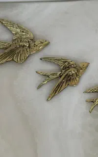 پرستو پروانه برنز