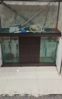 آکواریوم نونو بدون هیچ خطوخشی