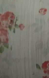سفره