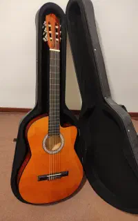 گیتار نو به همراه کاور