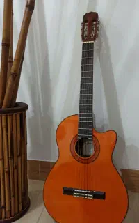 گیتار آریا Arya AK 80CE دست ساز