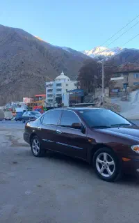 ماکسیما ۸۱ اتومات