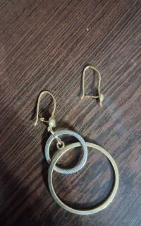 گوشواره گم شده