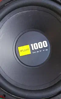 ضبط و ساپ
