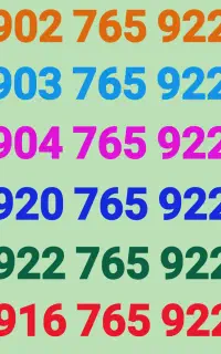 هم شماره های  دائمی