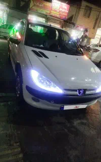 ۲۰۶ اس دی تیپ۵ بی رنگ