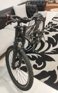 دوچرخه