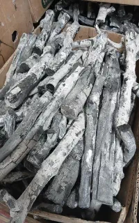 خریدار ذغال قلم سفید