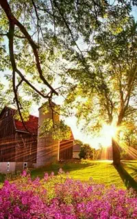 آموزش ترید ،معامله گری ،فارکس