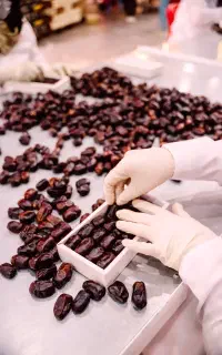 استخدام نیروی حسابدار و نیروی کارپرداز