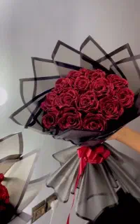 گل رز روبانی شایین