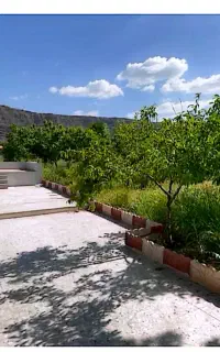 باغ/۱۰۰۰مترمربع/کمالوند
