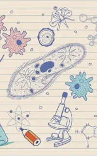 مشاوره تلفنی زیست شناسی تک جلسه برای جمع بندی