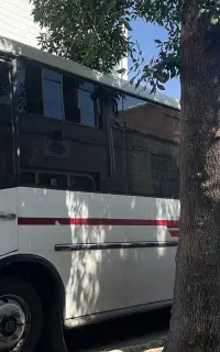 مینی بوس a80 سوپر دار  درجه یک