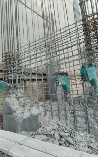 تخریب باپیکور