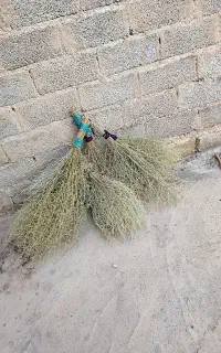 20عدد جارو دستی