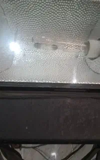 پرژکتور