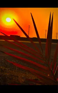 فرصت طلایی برای موفقیتت در کنکور و امتحانات نهایی