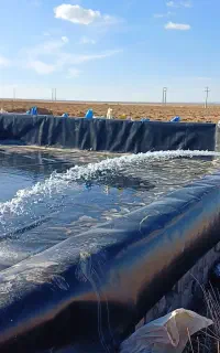اجاره استخر پرورش ماهی