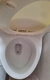 توالت فرنگی