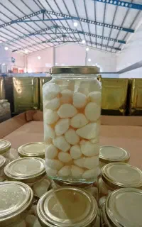 واگذاری نمایندگی شرکت هانده